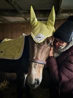 halve stal gezocht, Dieren en Toebehoren, Ophalen, Zo goed als nieuw