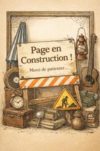 Cinéma BOLLYWOOD en VRAC 🎥 dvd ▬ blu-ray, Cd's en Dvd's, Ophalen of Verzenden