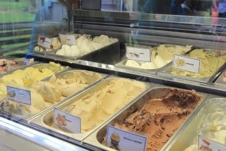 Ijstoog te koop wegens verhuis, goed werkend 18 bakken, Ophalen