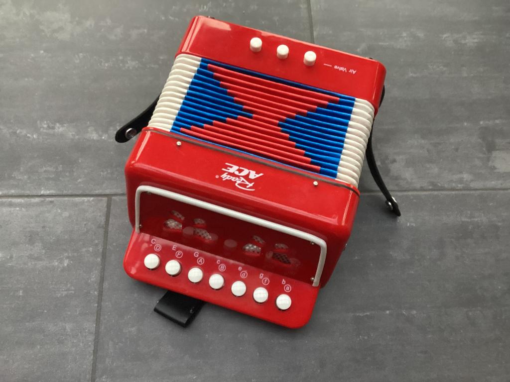 Accordeon, Enfants & Bébés, Jouets | Autre, Enlèvement ou Envoi, Utilisé, Garçon ou Fille