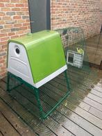Poulailler omlet go up complet 2024, Ophalen, Zo goed als nieuw, Kippenhok of Kippenren