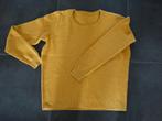 trui dames : 2 truien, ronde hals, katoen, medium., Kleding | Dames, Zo goed als nieuw, Groen, Ophalen, ANDERE