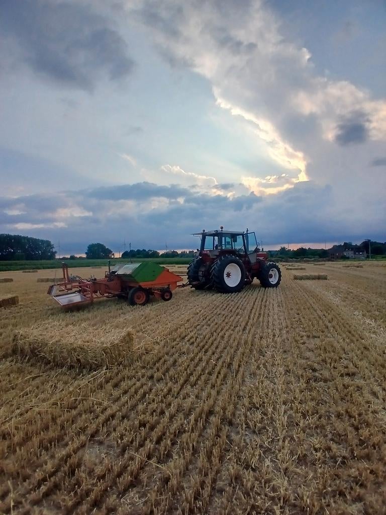 Av petits ballots de paille de 2025, Animaux & Accessoires, Box & Pâturages