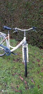 Damesfiets 7 versnellingen aluminium frame, Autres marques, Vitesses, Enlèvement, Utilisé