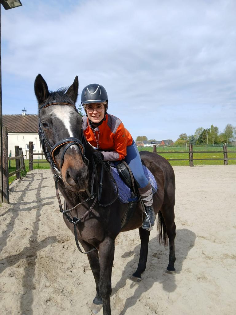 Gezocht verzorgpaard/Pony, Enlèvement, Utilisé