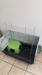 Cage à cochon d’inde avec accesoires (voir description), Animaux & Accessoires, Moins de 60 cm, Cage, Enlèvement, Utilisé