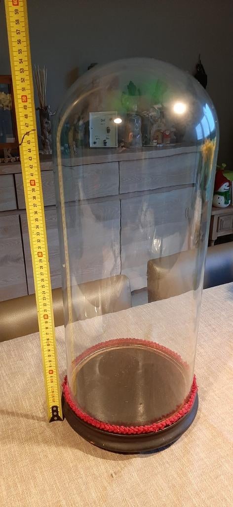 Cloche en verre, Antiquités & Art, Enlèvement