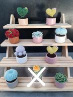 Petits cactus et plantes au crochet