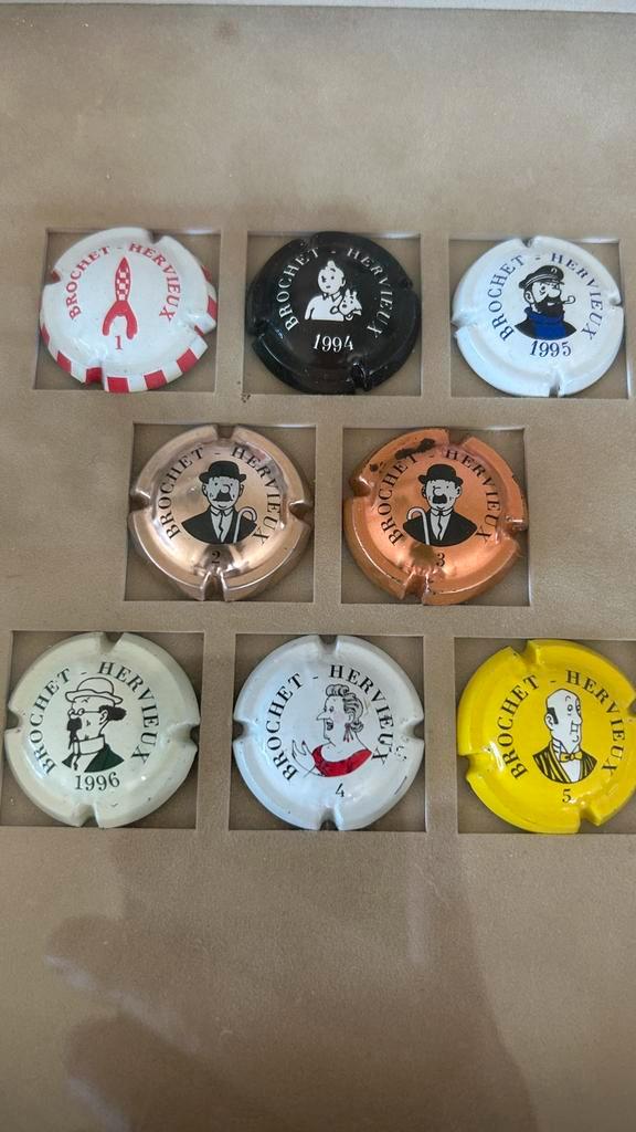 Collection de capsules de champagne uniques, Collections, Collections complètes & Collections, Enlèvement