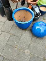 Blauwe geglazuurde planten bak bloempot met bal, Ophalen