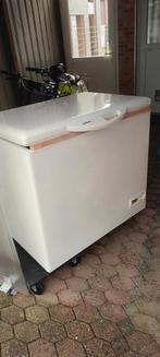 Liebherr GTS 3012, Congélateur, 85 à 120 cm, Enlèvement, Utilisé