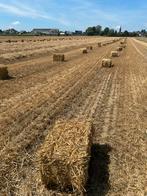 Kleine en grote pakken hooi en stro, Ophalen of Verzenden