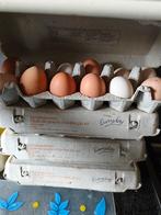 Verse eieren, Ophalen