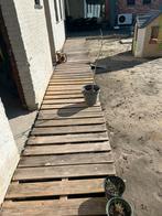 34 paletten, Tuin en Terras, Palen, Balken en Planken, Ophalen