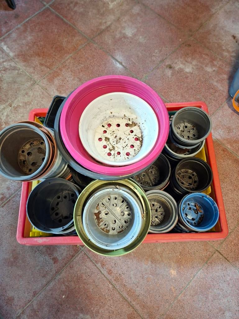 Diverse bloempotjes zonder krat, Tuin en Terras, Bloembakken en Plantenbakken, Ophalen