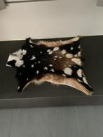 Zeer mooi geitenvachtje, Ophalen