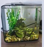 Biorb 15L, Dieren en Toebehoren, Ophalen