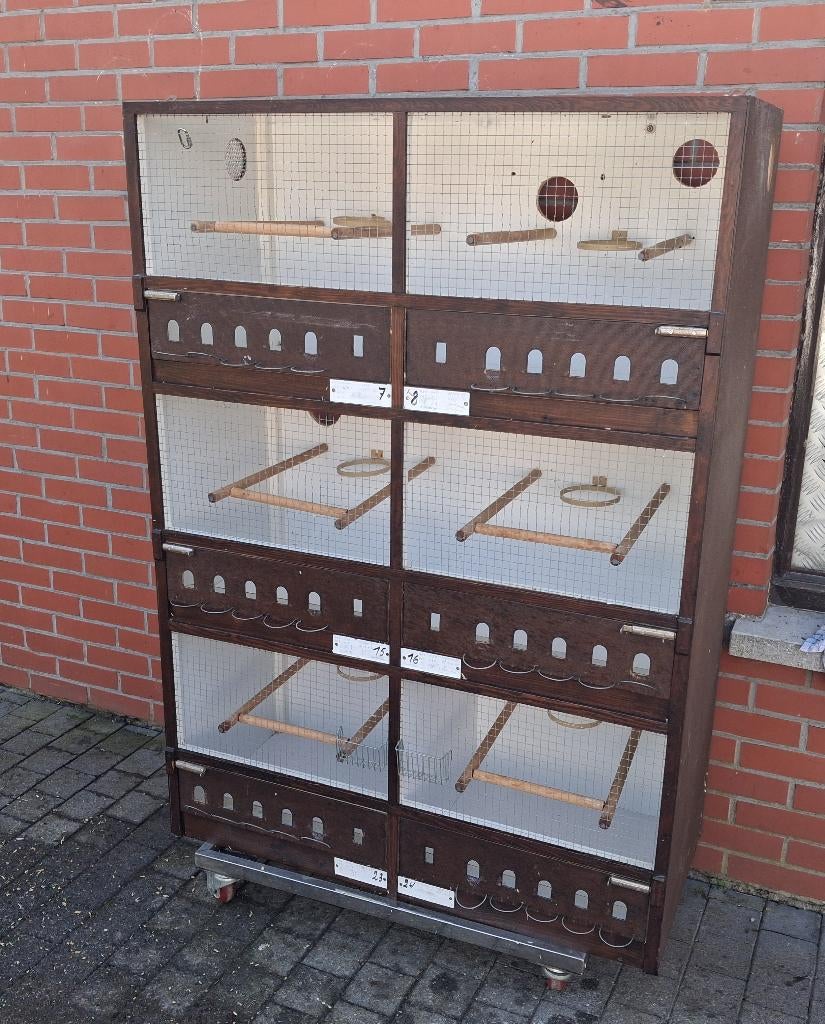 Kweekkooi, Animaux & Accessoires, Oiseaux | Cages & Volières, Enlèvement, Utilisé, Bois, Cage d'élevage