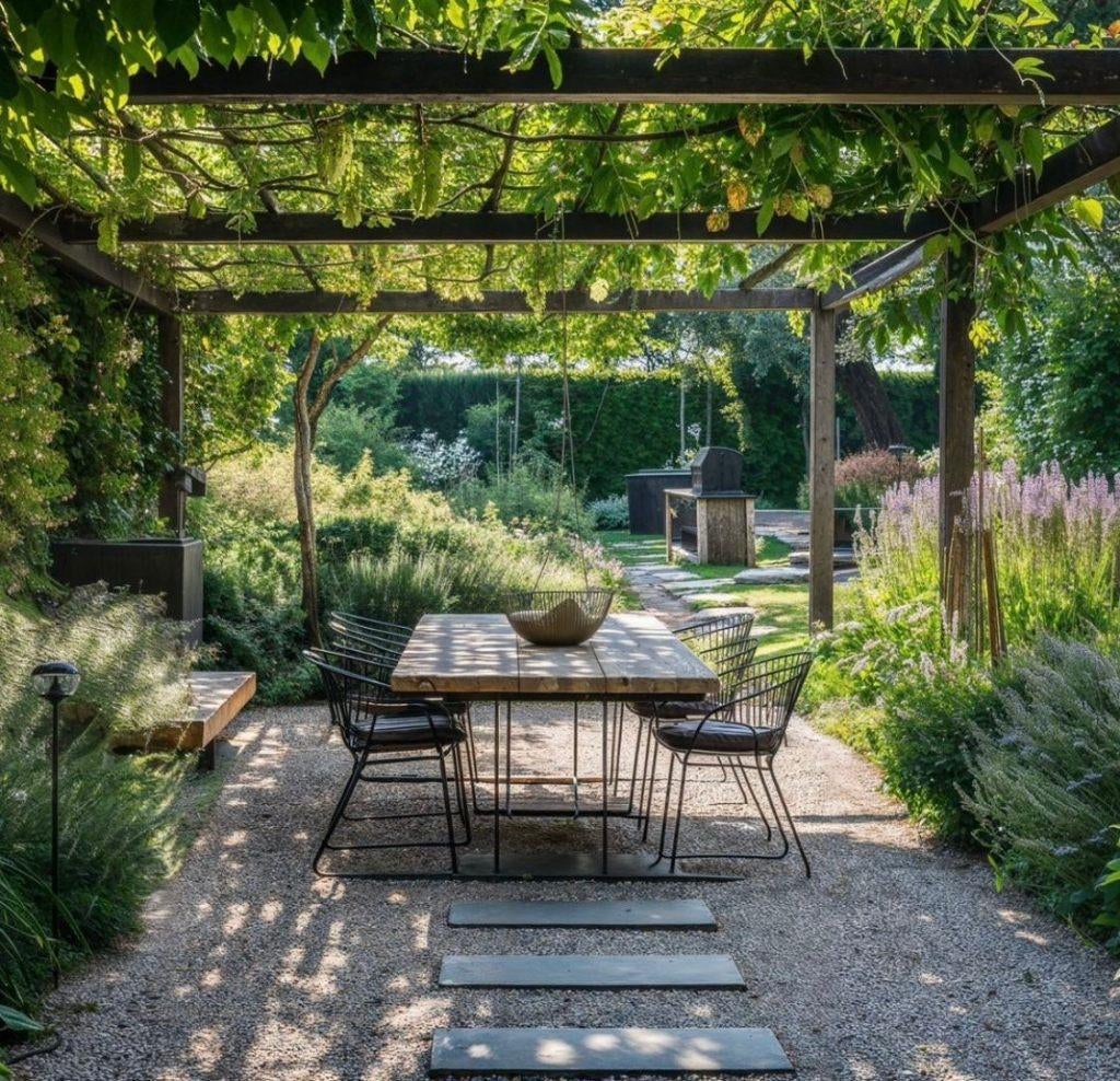 DAKBOMEN - PARASOLBOMEN voor tuin en terras, Enlèvement