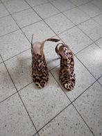 Chaussures léopard femme taille 38, Kleding | Dames, Schoenen, Overige kleuren, Nieuw, Ophalen of Verzenden, Schoenen met hoge hakken
