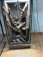 Terrarium, Ophalen, Zo goed als nieuw