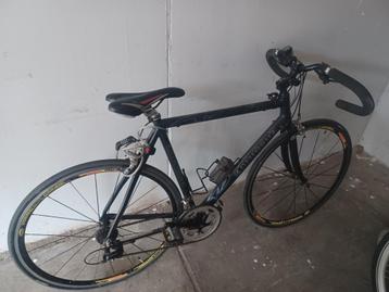 Koersfiets colombus  beschikbaar voor biedingen