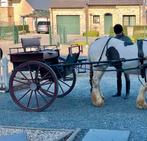 Klassieke koets, Dieren en Toebehoren, Rijtuigen en Koetsen, Paard