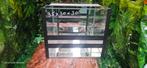 Terrarium 35x30x30 guillotine, Dieren en Toebehoren, Ophalen, Nieuw, Terrarium of Paludarium