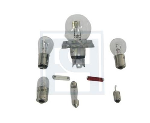 Lampset 6 volt with duplo lamp Volvo onderdeel 550601, Auto-onderdelen, Verlichting, Nieuw, Ophalen of Verzenden