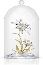 Swarovski | Flore Bell Jar | kristallen figuur | Nieuw