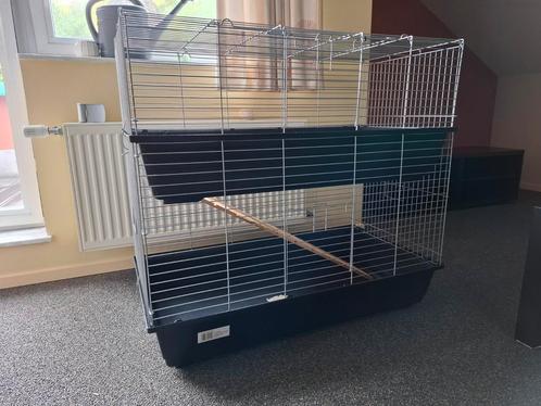 Grote konijn/ Cavia/ ratten kooi, Animaux & Accessoires, Rongeurs & Lapins | Cages & Clapiers, Comme neuf, Cage, Cobaye, Lapin