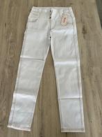 Nieuw! Damesbroek maat L, Kleding | Dames, Ophalen of Verzenden, Nieuw, Maat 42/44 (L)