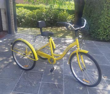 Trocycle voor volwassenen - niet elektrisch beschikbaar voor biedingen