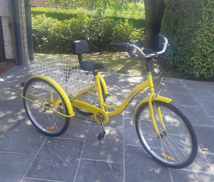Trocycle voor volwassenen - niet elektrisch, Fietsen en Brommers, Fietsen | Driewielfietsen, Zo goed als nieuw, Ophalen