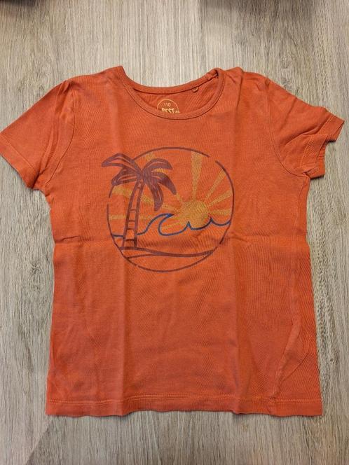 Diverse T-shirten maat 110, Kinderen en Baby's, Kinderkleding | Maat 110, Zo goed als nieuw, Jongen, Shirt of Longsleeve, Ophalen of Verzenden