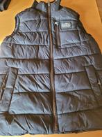 body warmer 12j  petrol, Trui of Vest, Petrol Industries, Ophalen of Verzenden, Zo goed als nieuw