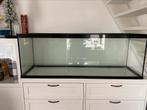 Aquarium, terrarium, Dieren en Toebehoren, Reptielen en Amfibieën | Toebehoren, Ophalen, Gebruikt, Terrarium of Paludarium