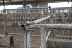 Hekwerk voor Vang en Behandel box voor koeien 2 stuks, Stalling