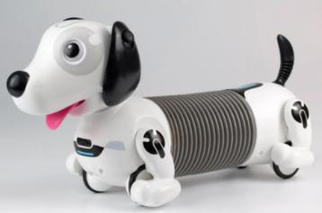 Robo Dackel R Robothond beschikbaar voor biedingen
