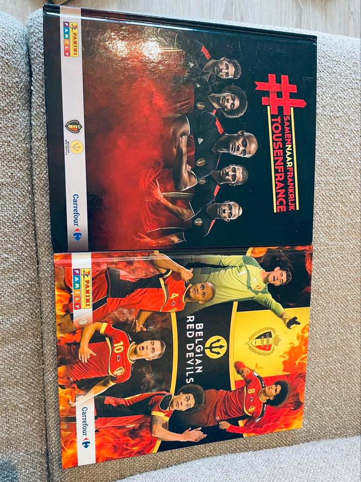 #samen naar Frankrijk en   Belgian Red Devils, Verzamelen, Sportartikelen en Voetbal, Zo goed als nieuw, Boek of Tijdschrift, Ophalen of Verzenden
