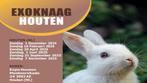 Exoknaag&Terraria Houten 01-06-2025 Nederlands grootste, Dieren en Toebehoren, Knaagdieren