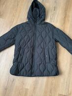 Zara jas, maat 36(S),zwart., Kleding | Heren, Ophalen, Zara, Zwart, Overige maten