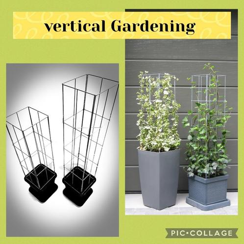 Klimplanten steun Clematis passieflora rozen jasmijn hedera, Tuin en Terras, Planten | Tuinplanten, Vaste plant, Klimplanten, Ophalen of Verzenden