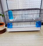 4 Cage domus molinari, Dieren en Toebehoren, Ophalen, Gebruikt, Broedkooi of Kweekkooi