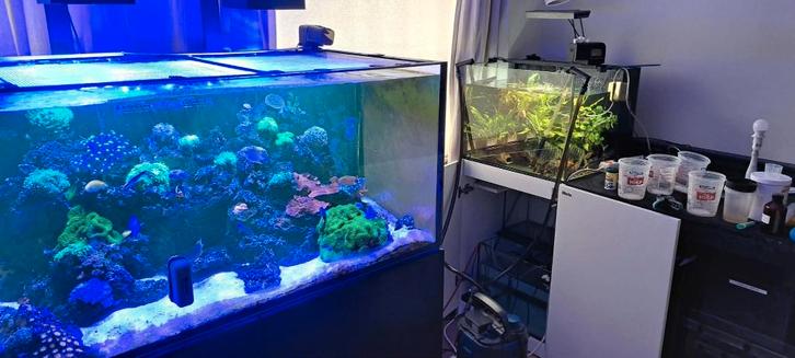 Zeeaquarium Red Sea Reefer 425XL, Dieren en Toebehoren, Vissen | Aquaria en Toebehoren, Gebruikt, Leeg aquarium, Ophalen