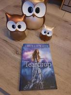 Lauren Kate - Teardrop, Livres, Enlèvement ou Envoi, Lauren Kate