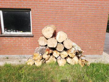 Houtblokken beschikbaar voor biedingen