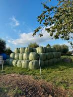 Midi-balen hooi, Dieren en Toebehoren, Ophalen, Overige soorten