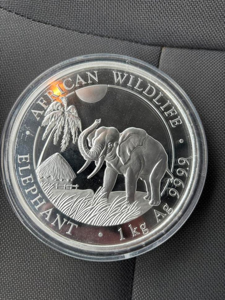 Zilvermunt 1 kg, Postzegels en Munten, Edelmetalen en Baren, Zilver, Ophalen