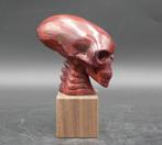 Prachtige Alien Schedel van Rode Tijgeroog met sokkel 39 EU, Antiek en Kunst, Kunst | Designobjecten, Verzenden